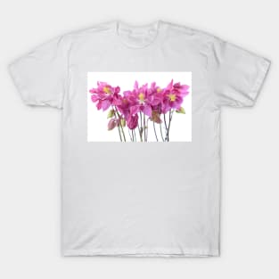 Aquilegia  Columbine T-Shirt